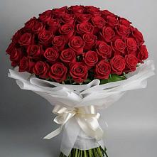 Букет 101 Красная роза Блэк Мэджик #REPLACE_PRED# Богородске
