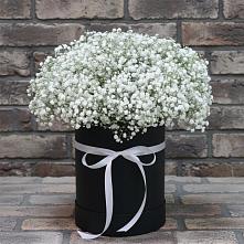Цветочная композиция из Гипсофила в шляпной коробке в Богородске