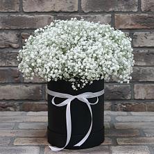 Цветочная композиция из Гипсофила в шляпной коробке в Богородске
